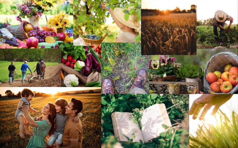 MADISON SUSTAINABLE COLLAGE CORREGIDO IZQ